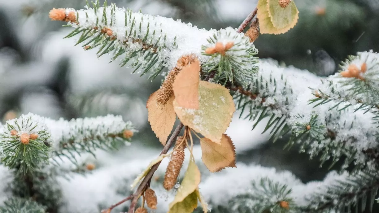 Очаг холода: снег, дожди и ветер ждут жителей Приморья в выходные