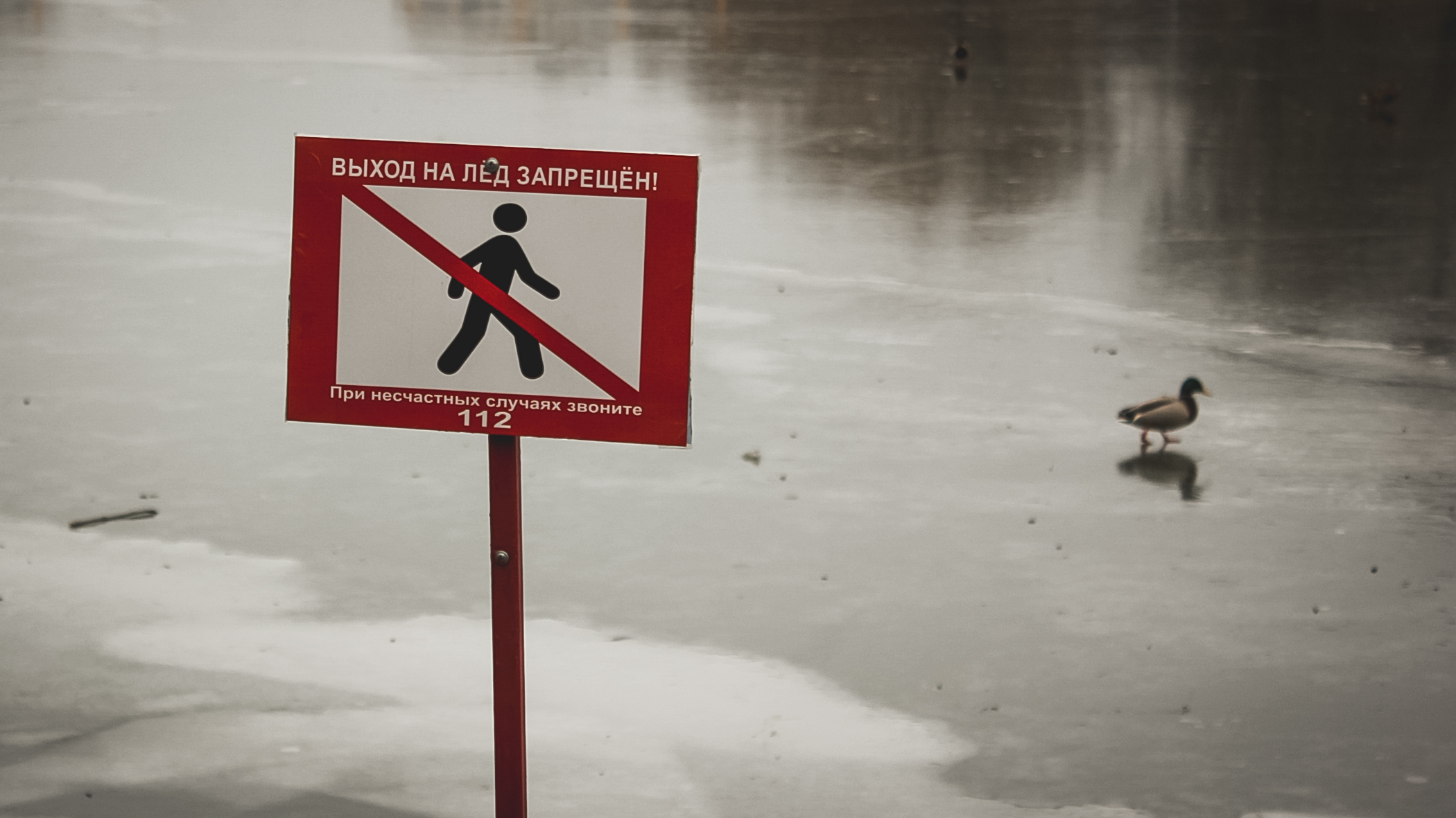 В Приморье троих человек унесло на льдине