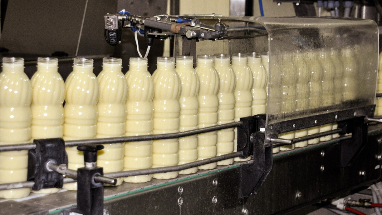В Приморье наращивают объёмы переработки молока