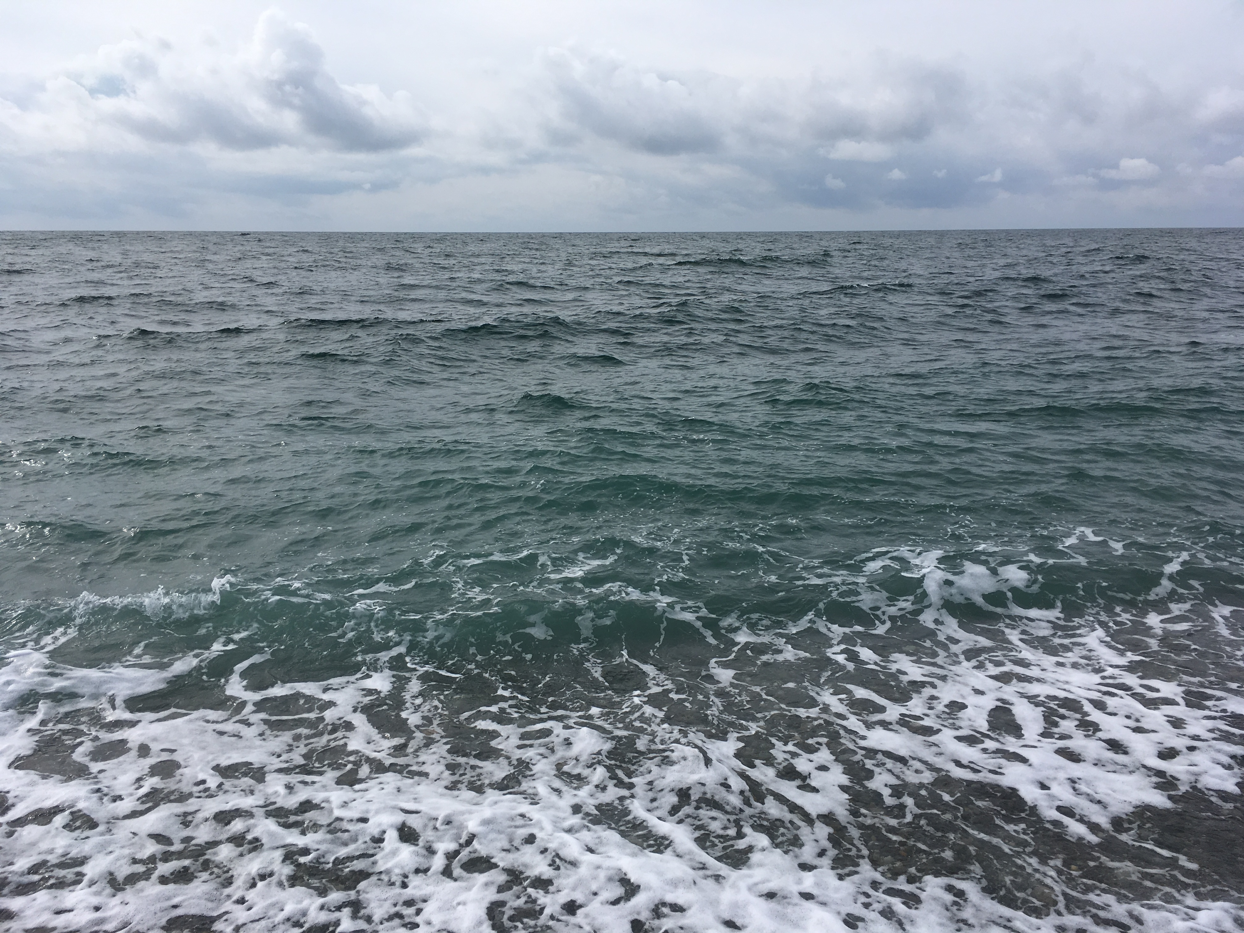 SOS: Контейнеровоз терпит бедствие у берегов Приморья