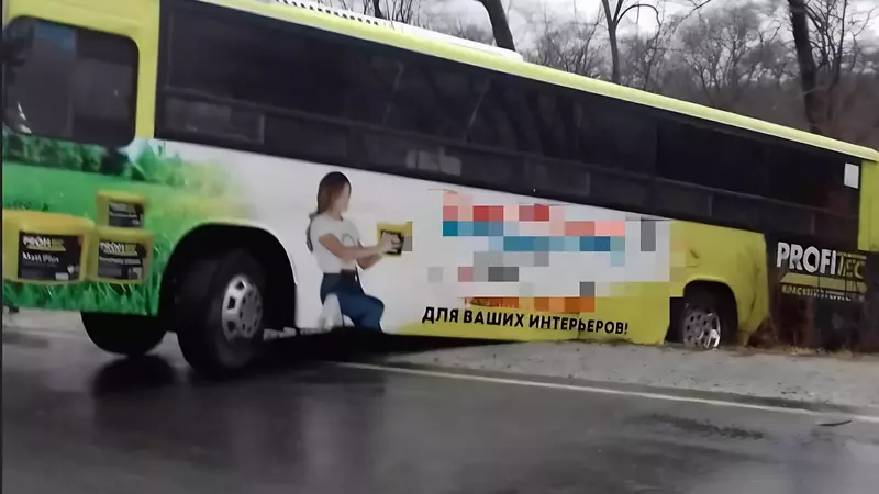 «Считай, завис над пропастью»: жертвой гололёда стал маршрутный автобус в Приморье