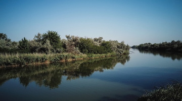 Амурская область утопает из-за неконтролируемых сбросов воды с Бурейской и Зейской ГЭС
